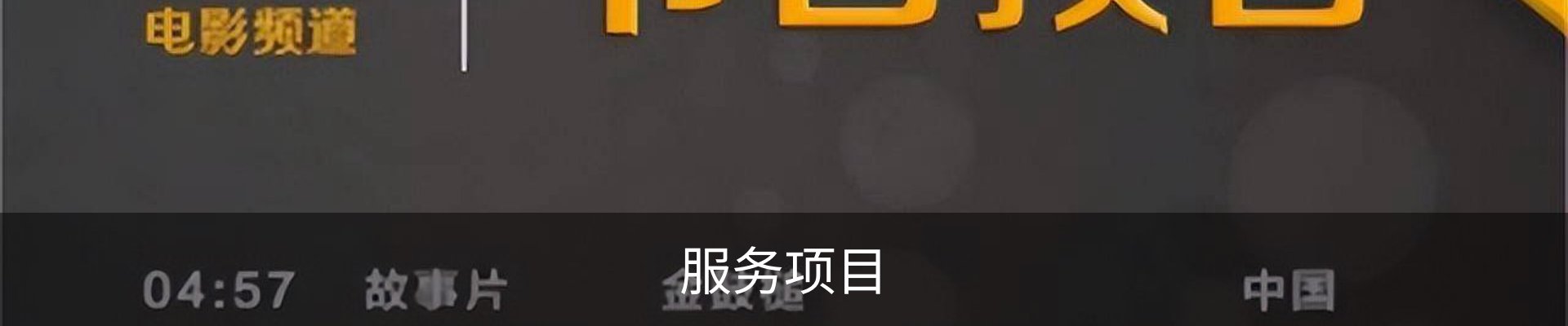 服务项目
